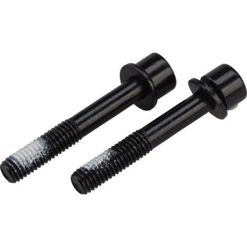 TRP Spare  Mounting bolts(x2)for Flat Mount Rear cal 37mm