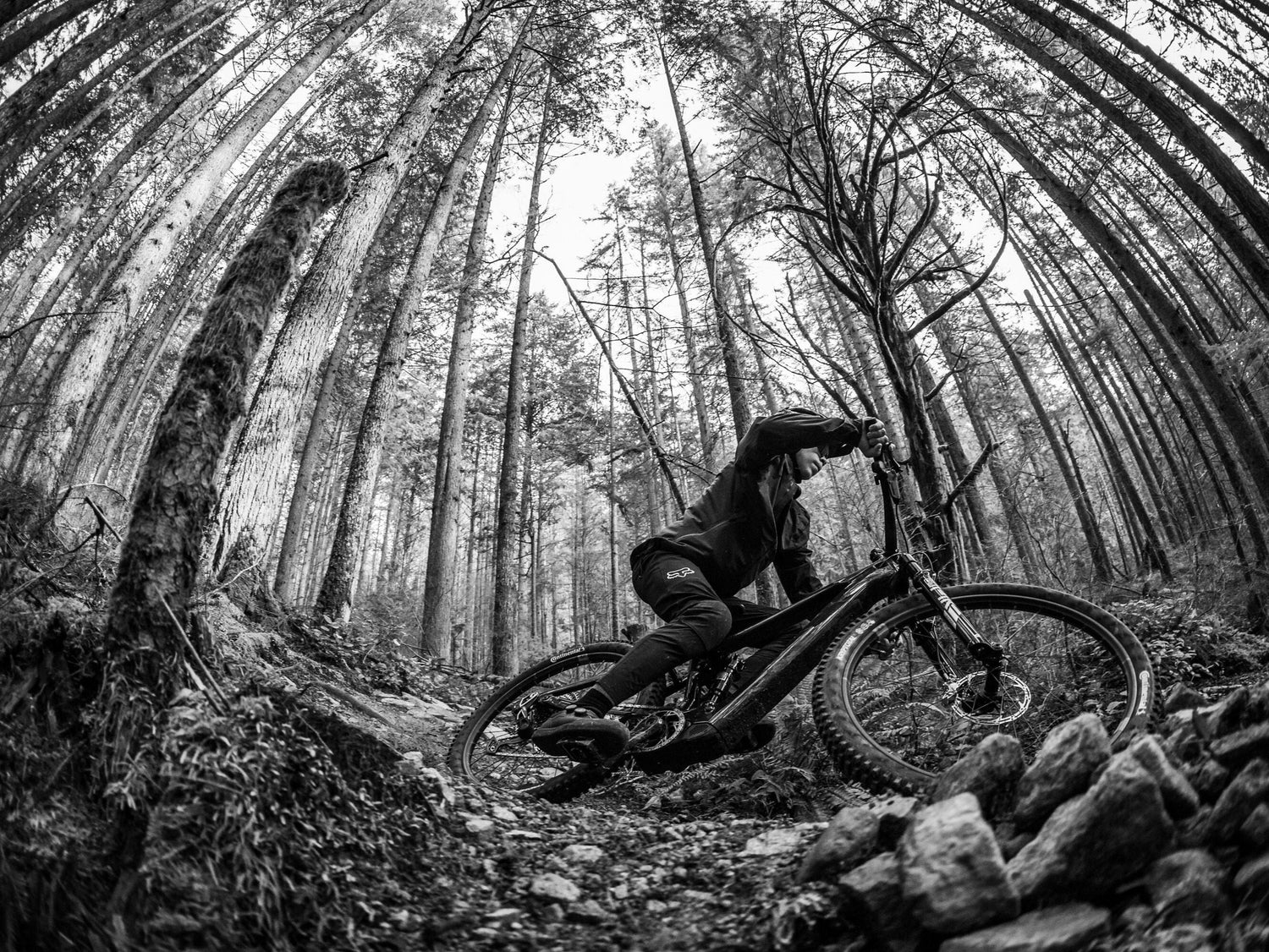 Round up of Cycling Events in January 2025: A Global Snapshot