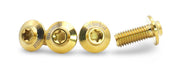 Framesandgear Ti Bottle Cage Bolts M5 x 14 Gold