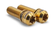 Framesandgear Ti Crank Arm Bolts M6 x 19 Gold