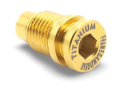Framesandgear Ti Derailleur Hanger Bolt Gold