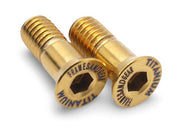 Framesandgear Ti Derailleur Pulley Wheel Bolts M5 x 14.5 Gold