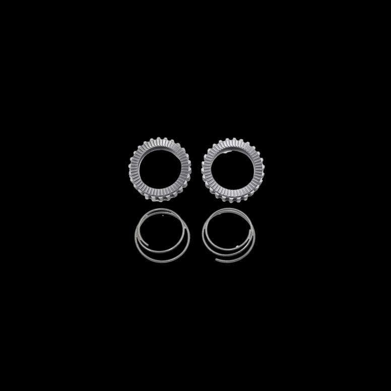 FFWD Ratchet/spring Kit 36t