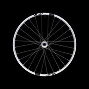 Crankbrothers-Synthesis-Alloy-2.0-Enduro-1/1-Front-Wheel-Silver-29"-