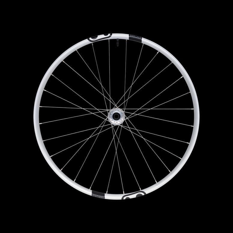 Crankbrothers-Synthesis-Alloy-2.0-Enduro-1/1-Front-Wheel-Silver-29"-
