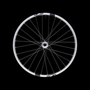 Crankbrothers-Synthesis-Alloy-2.0-DH-1/1-Front-Wheel-Silver-29"-