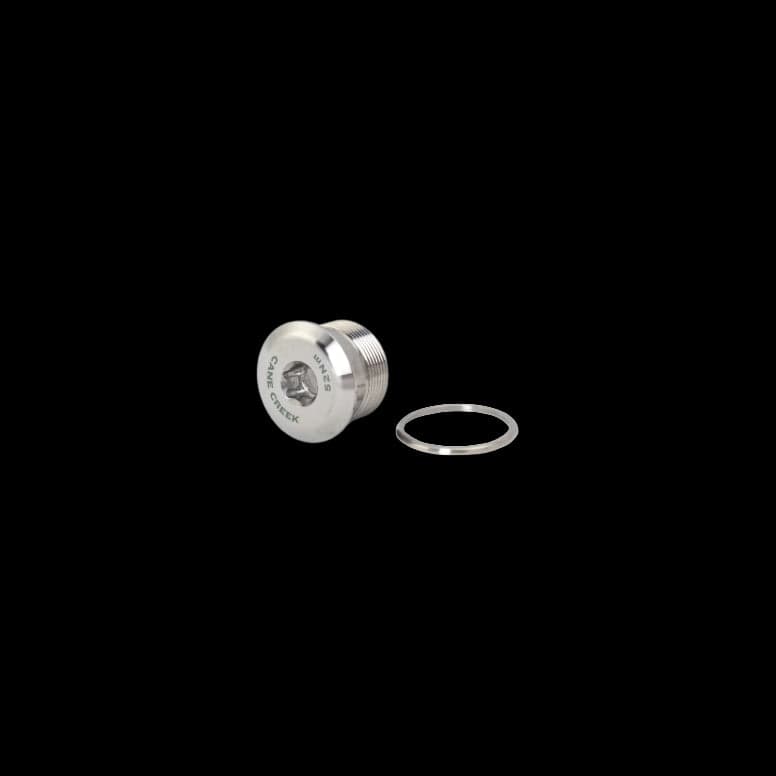 Cane Creek eeWings Spindle Bolt Kit inc Washer -  - Silver