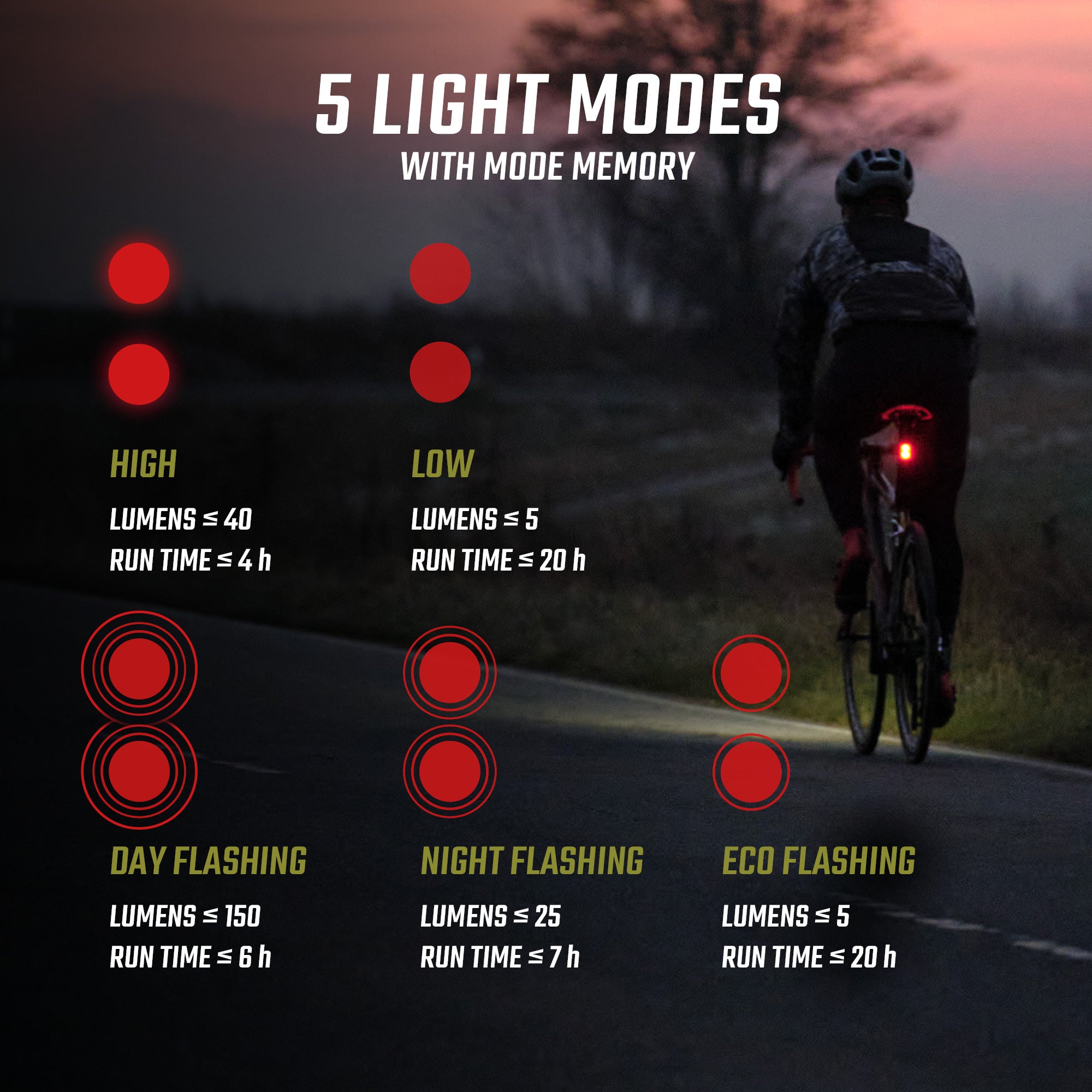 Sigma Buster 800 & RL 150 Lightset