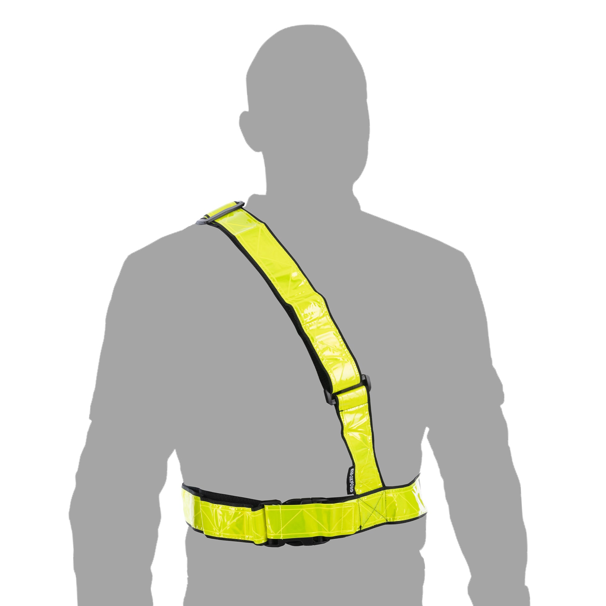 Oxford Bright Belt M