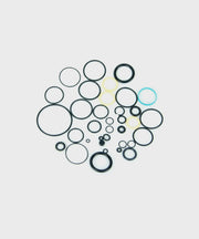 FOX Shock Brain Seal Kit