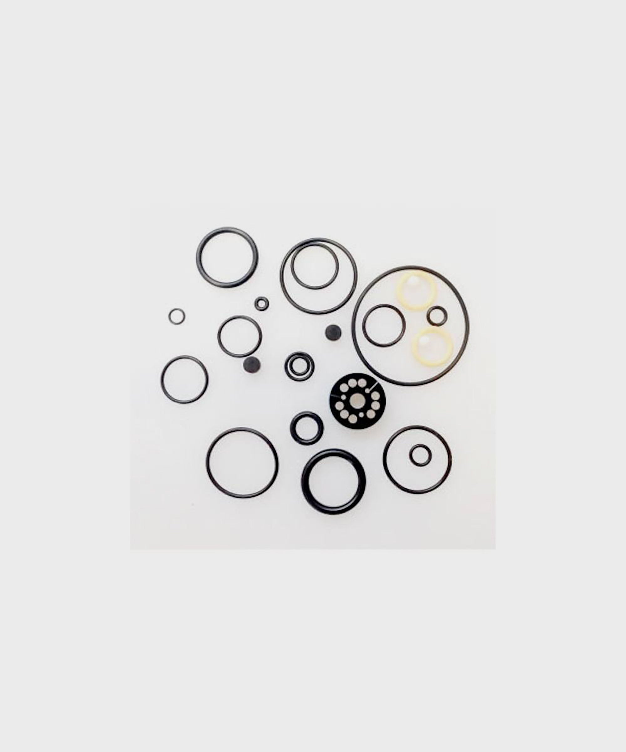 FOX Shock Float DPX2 Rebuild Seal Kit