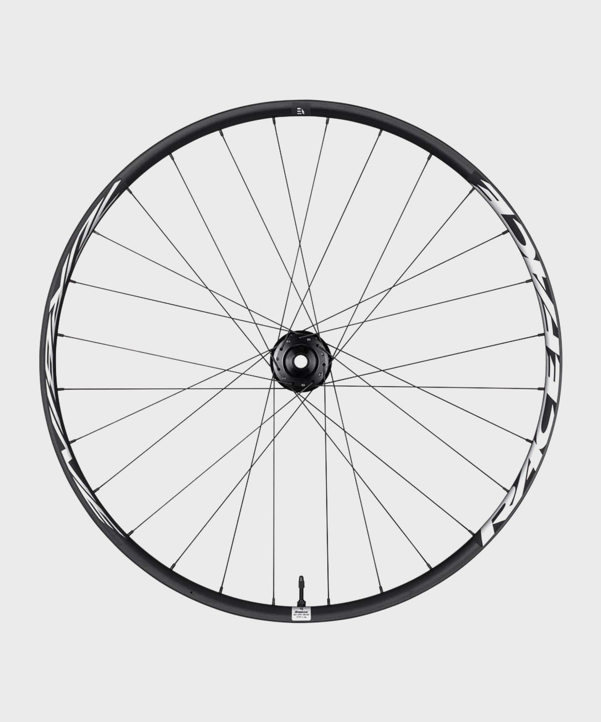 Race Face Turbine e-MTB 30mm Wheel Rear 29" 12x157 SUPERBOOST HG
