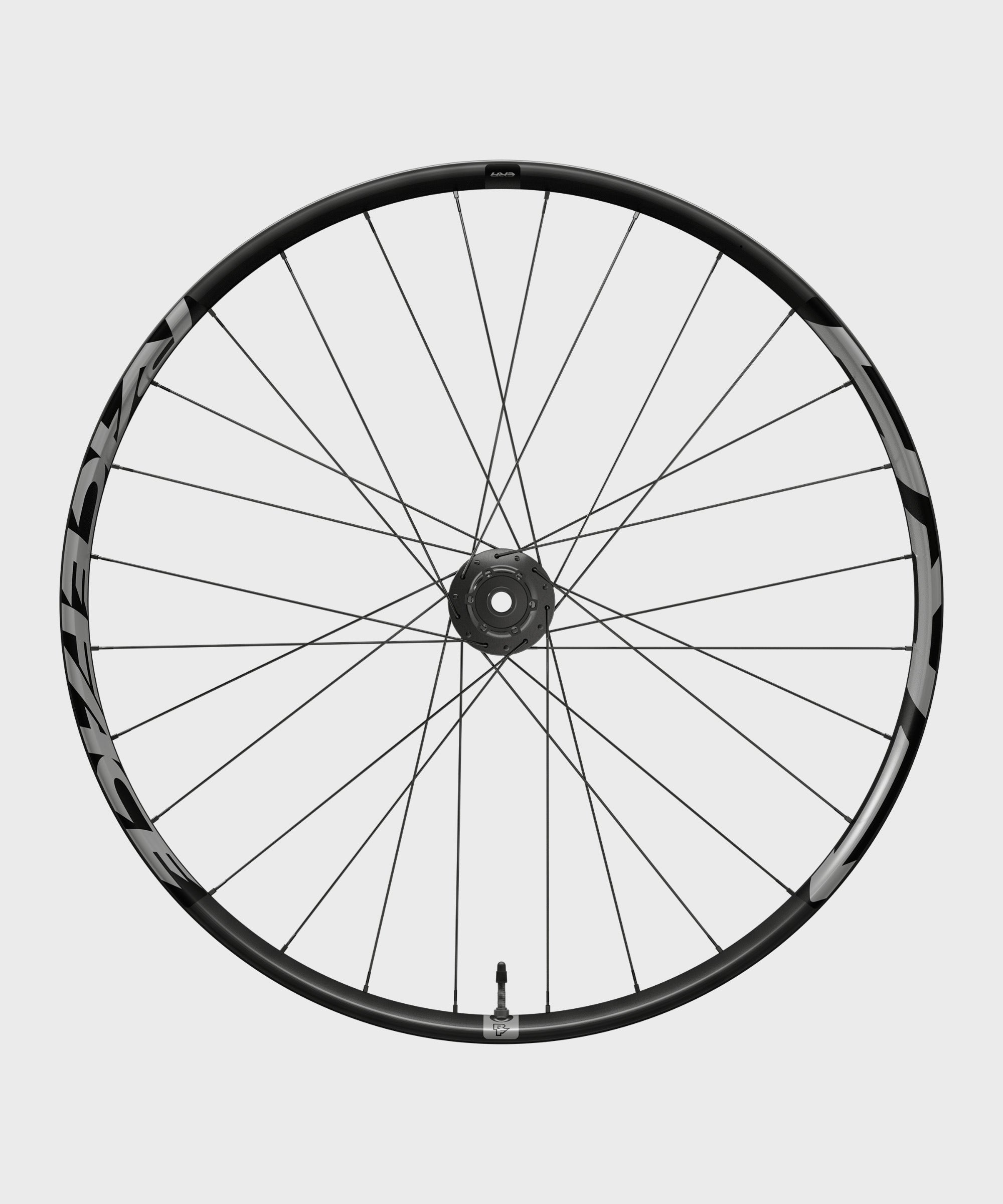 Race Face ERA EMTB 30mm Wheel Front 29" 15x110 6B Black