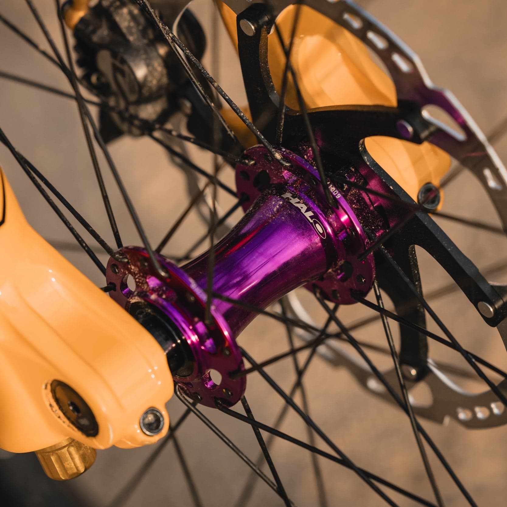 Halo MT Mantradrive 750 Boost SS Limited Edition Purple Hub Set  Purple 32H