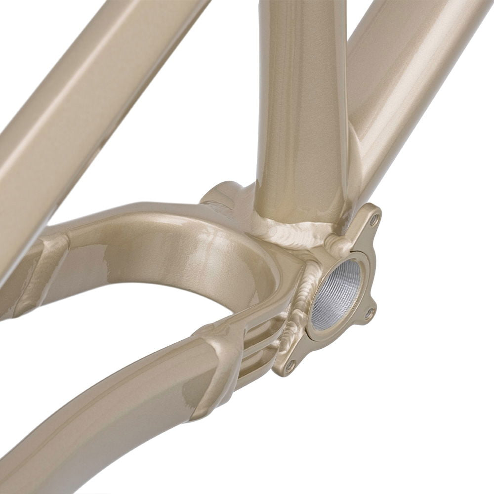 DMR Rhythm Frame  Sola Gold  Long