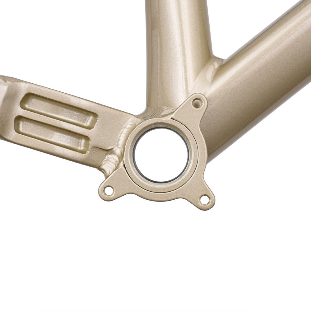 DMR Rhythm Frame  Sola Gold  Long