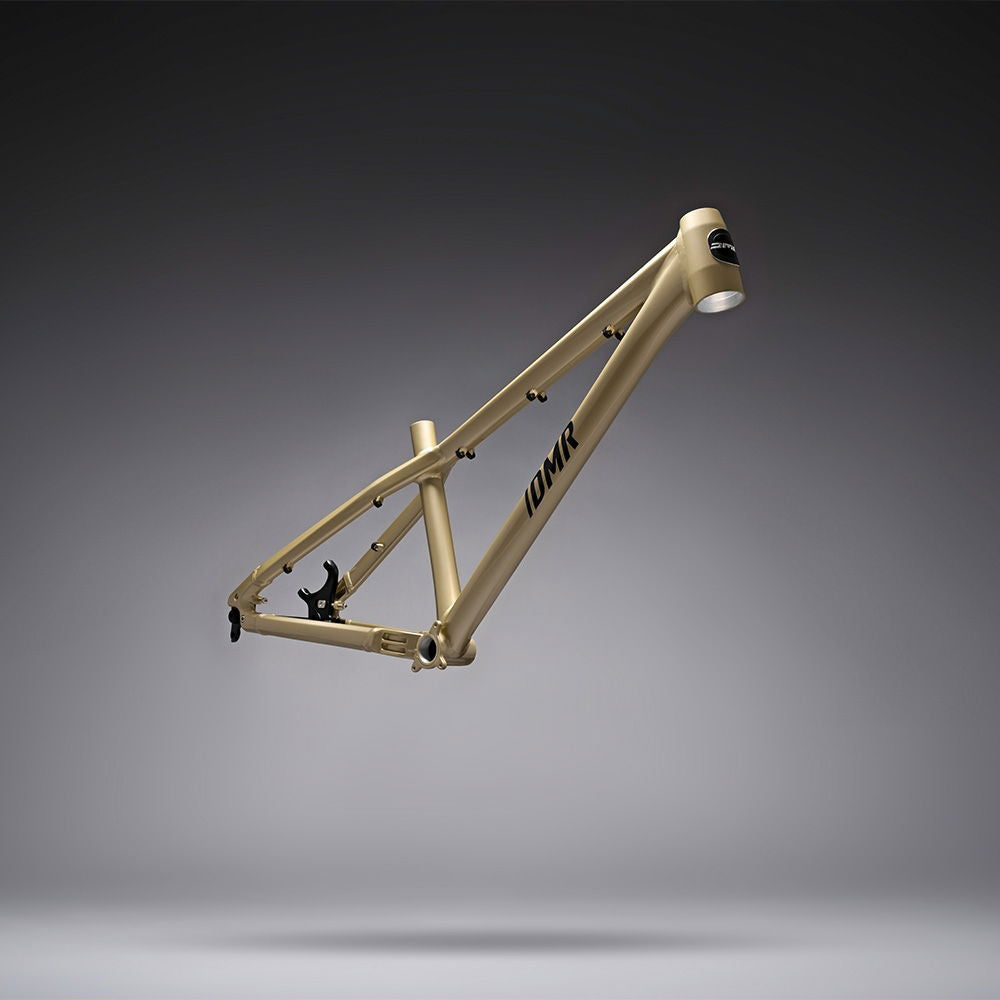 DMR Rhythm Frame  Sola Gold  Regular