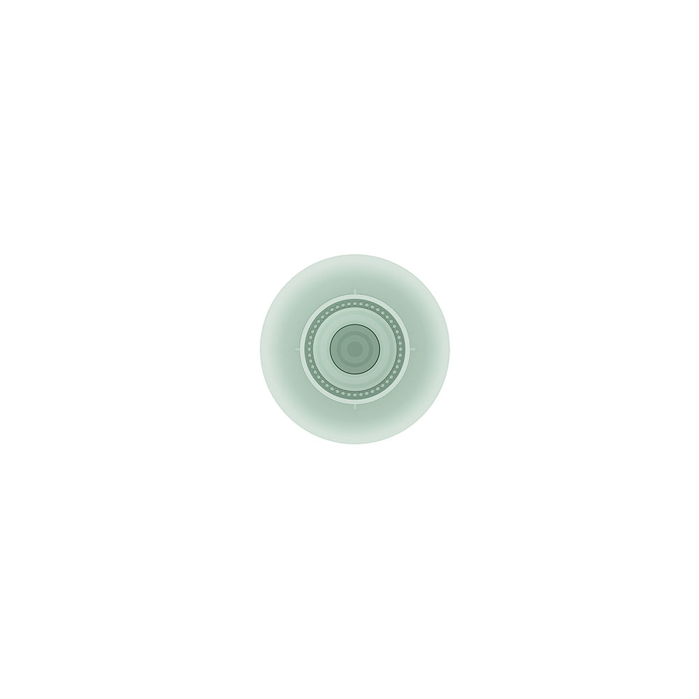 Fidlock Vacuum Case Patch One Green