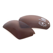 BZ Optics Pho Replacement Lenses +2.50 Polarised