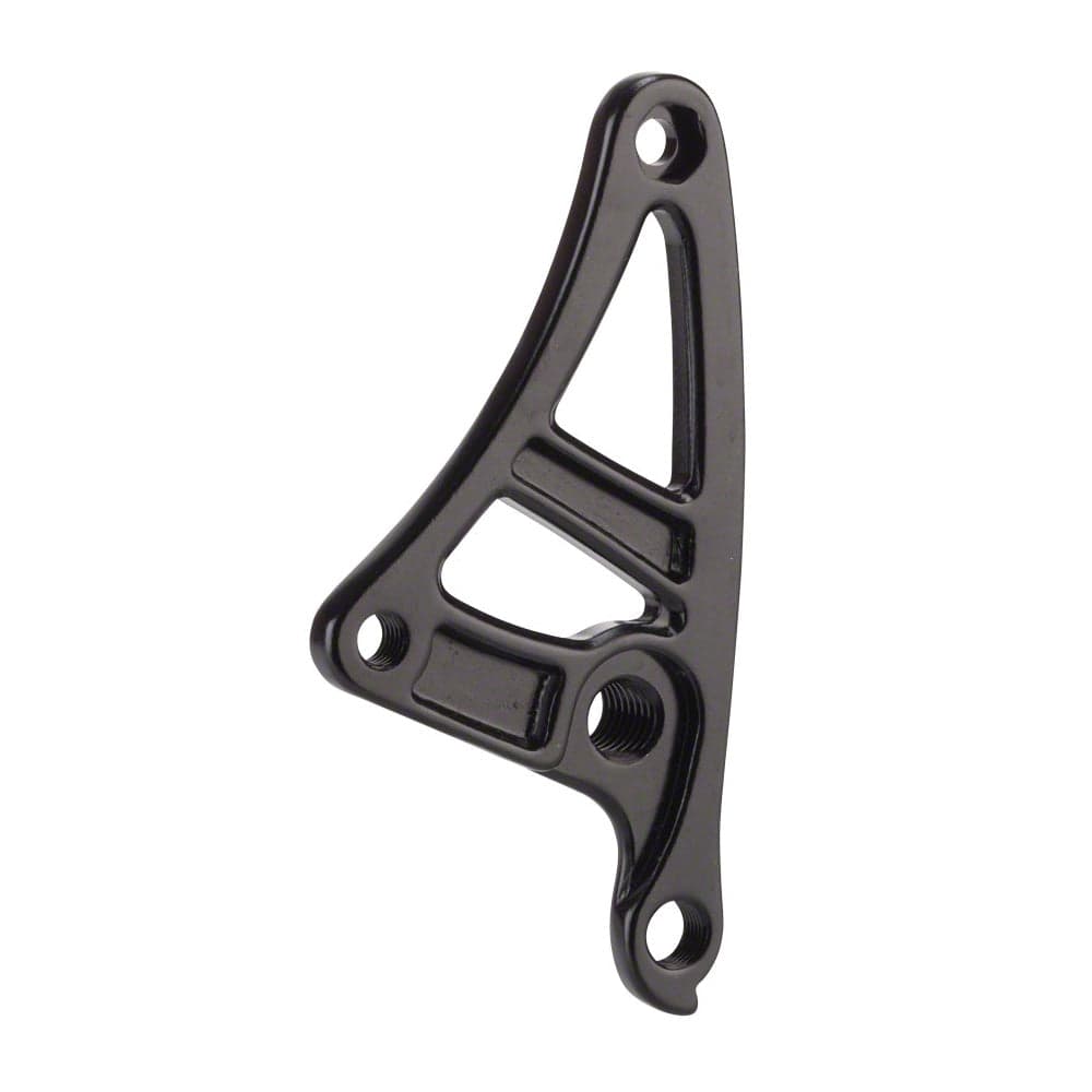Salsa Alternator 1.0 Plate M12x1.75 Black