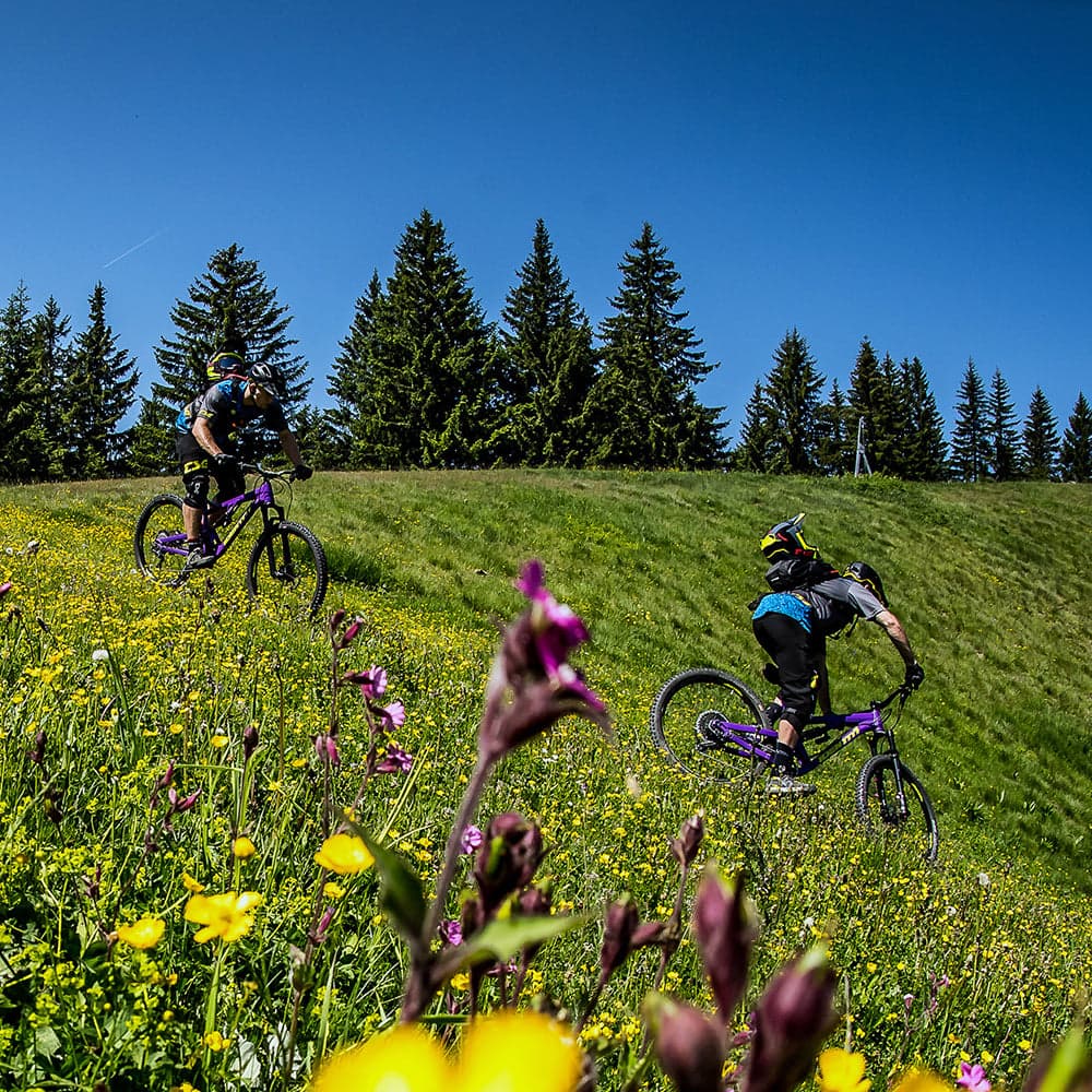 Halo Vortex 27.5" Supadrive Boost XD 27.5 Stealth Black