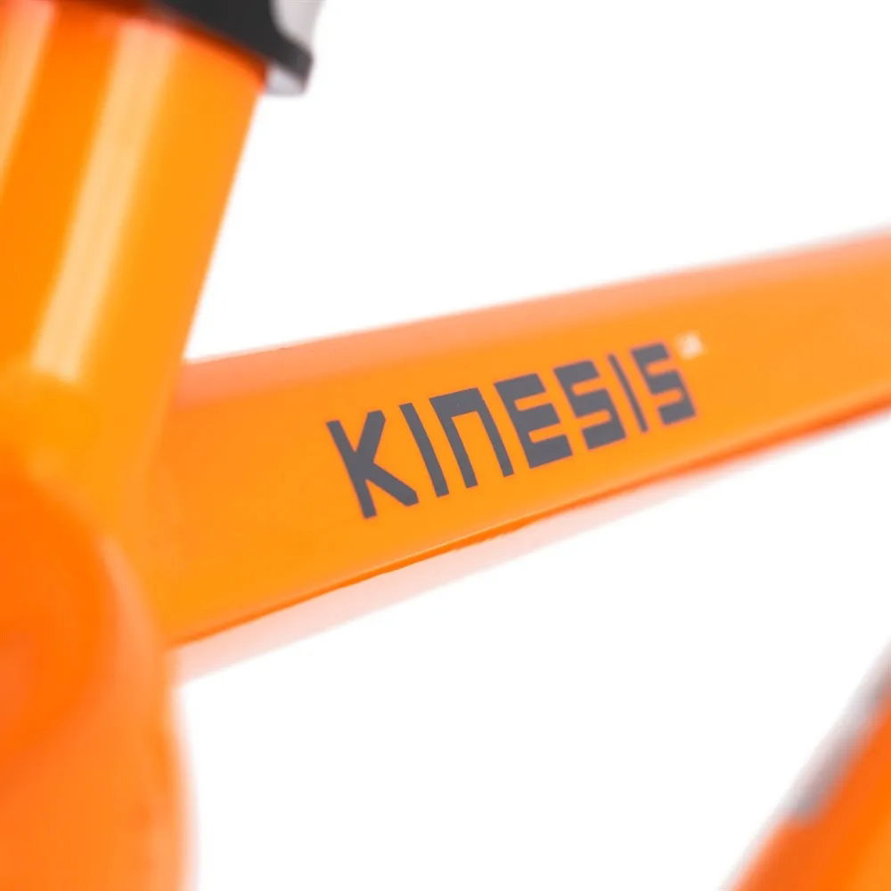Kinesis Frame  FF29  Black Bronze  L3