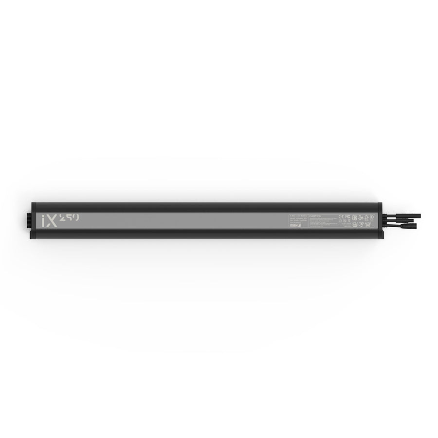 Mahle X20 Ix250W Battery Pack:  250W
