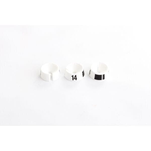 Madison Women's Size Cubes- size 14 Pack of 25