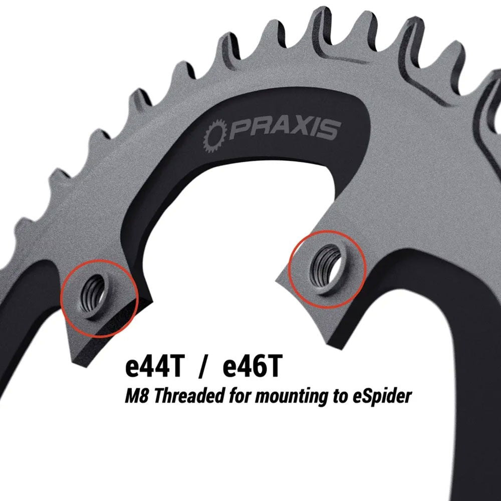 Praxis E Ring  110 BCD NW 1x 46t Direct threaded