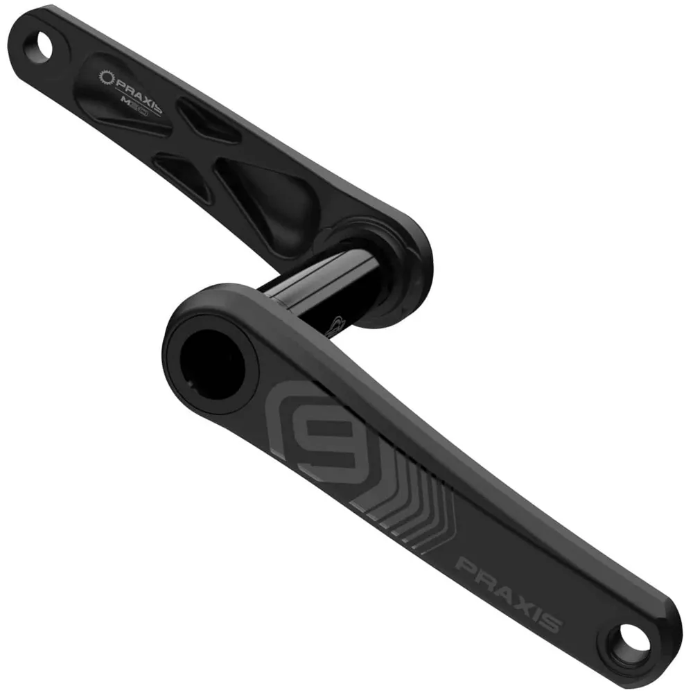 Praxis CS MTB  DH9 Arms Only 165