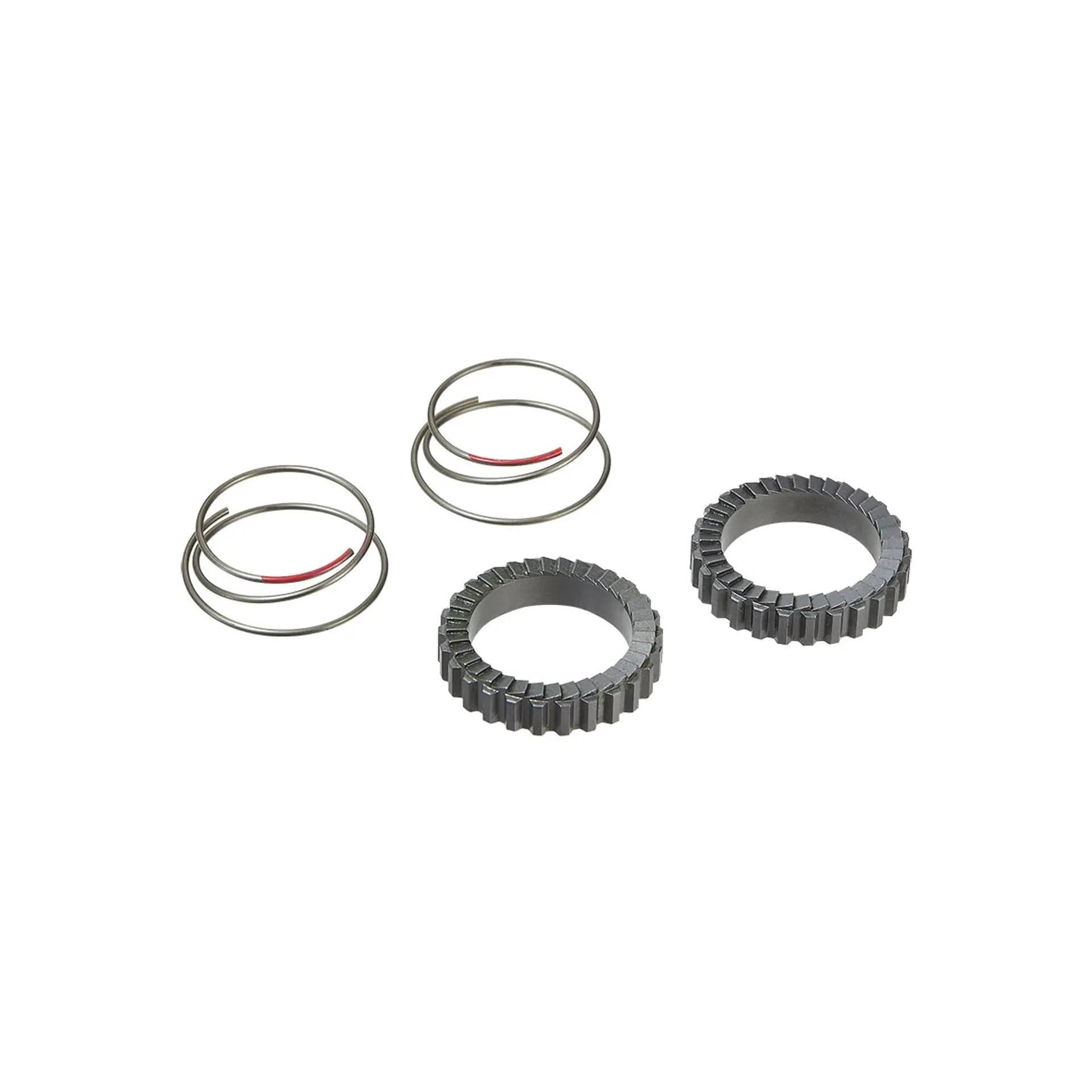 Ricthey Star Ratchet & Springs:
