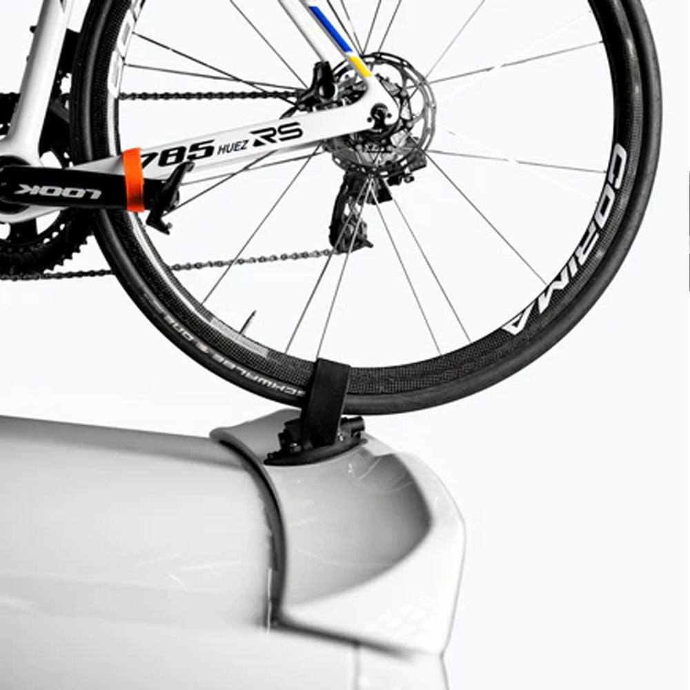 SeaSucker - Compact Rear Wheel Strap