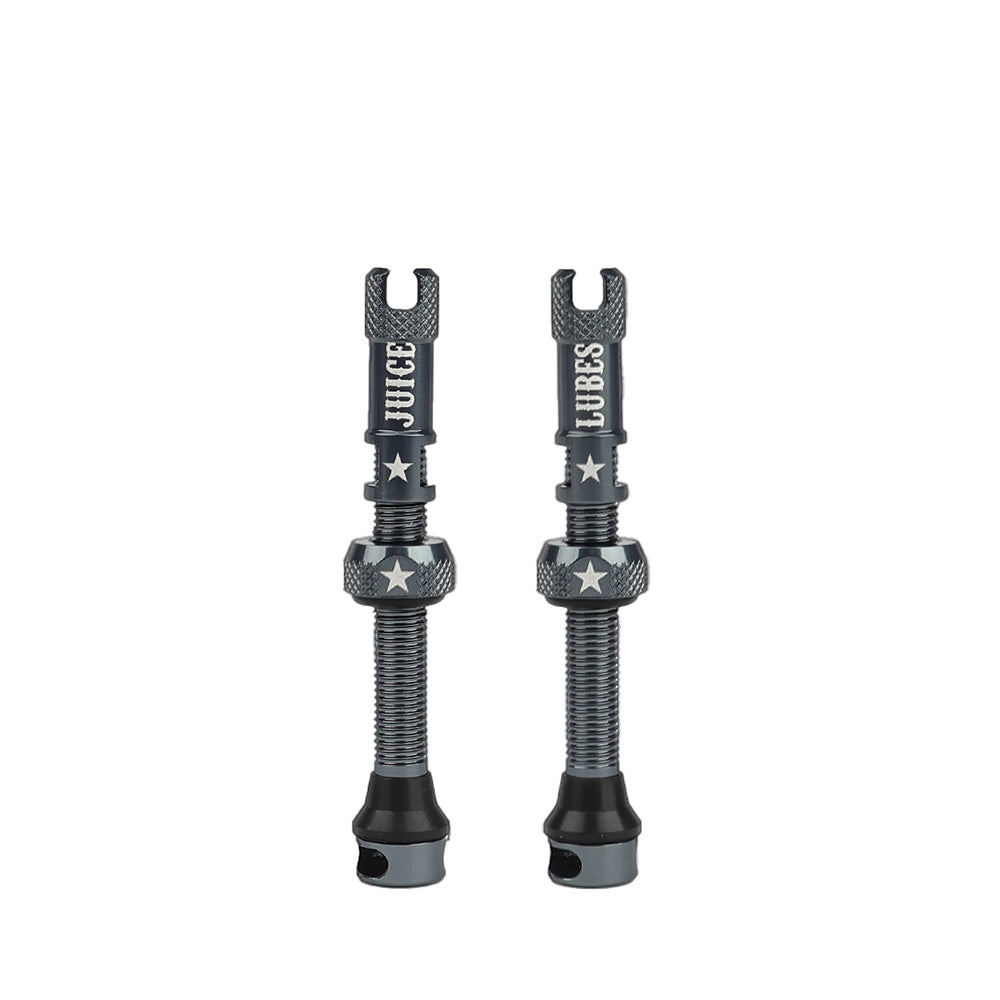 Juice Lubes Tubeless Valves 48mm Slate
