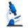 2:1 glucose:fructose