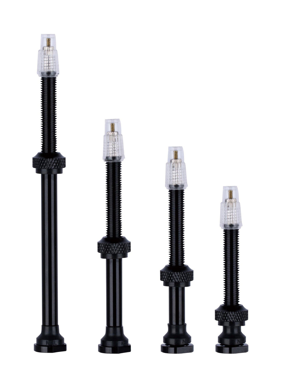 Vision Tubeless Valves (120mm, 2pcs, B1)