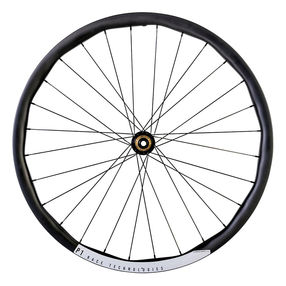 P1  Race Technologies Singularis M30 MTB Tactic Center-lock Black 29"