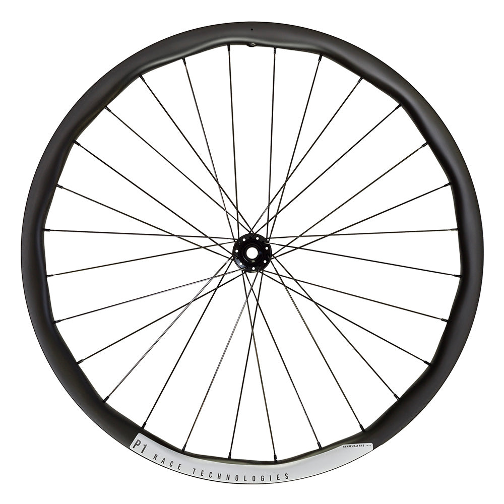 P1  Race Technologies Singularis M30 MTB I9 6-Bolt Black 29"