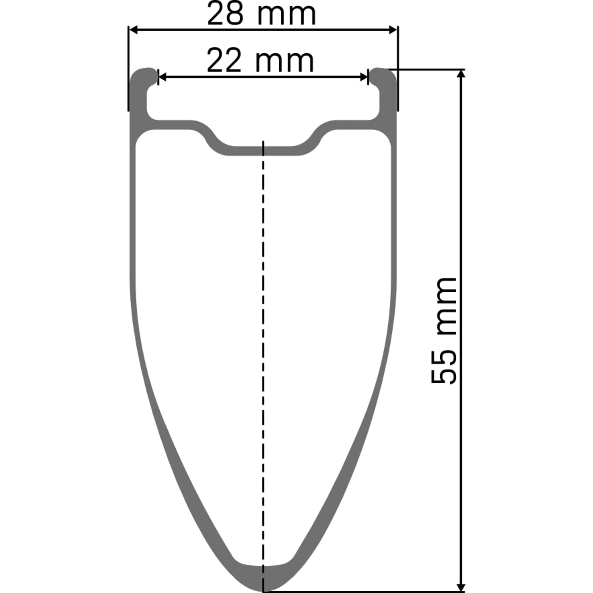 DT Swiss ARC 1100 DICUT disc brake WTS, carbon clincher 55 x 22 mm rim, front with tyre