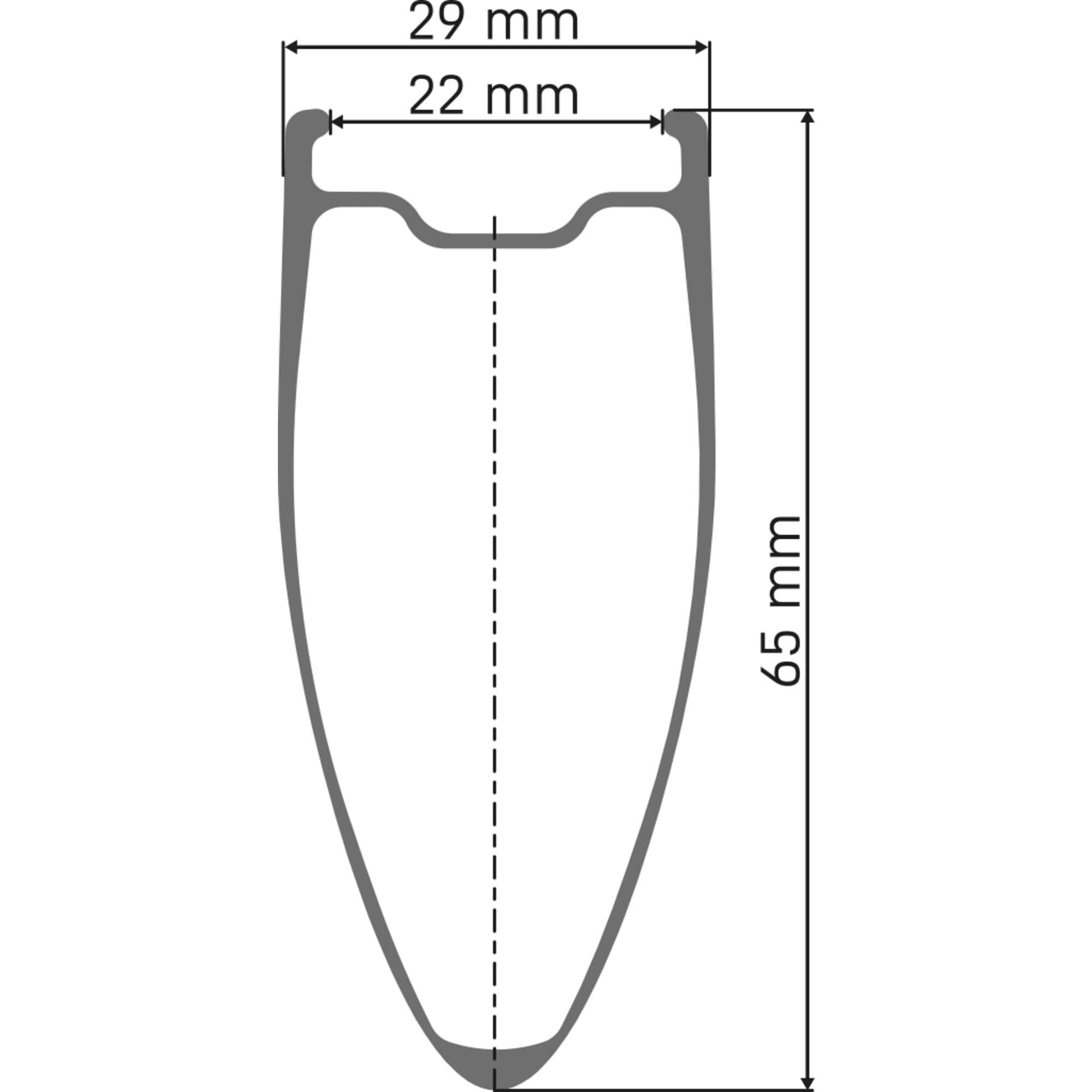 DT Swiss ARC 1100 DICUT disc brake WTS, carbon clincher 65 x 22 mm rim, rear with tyre