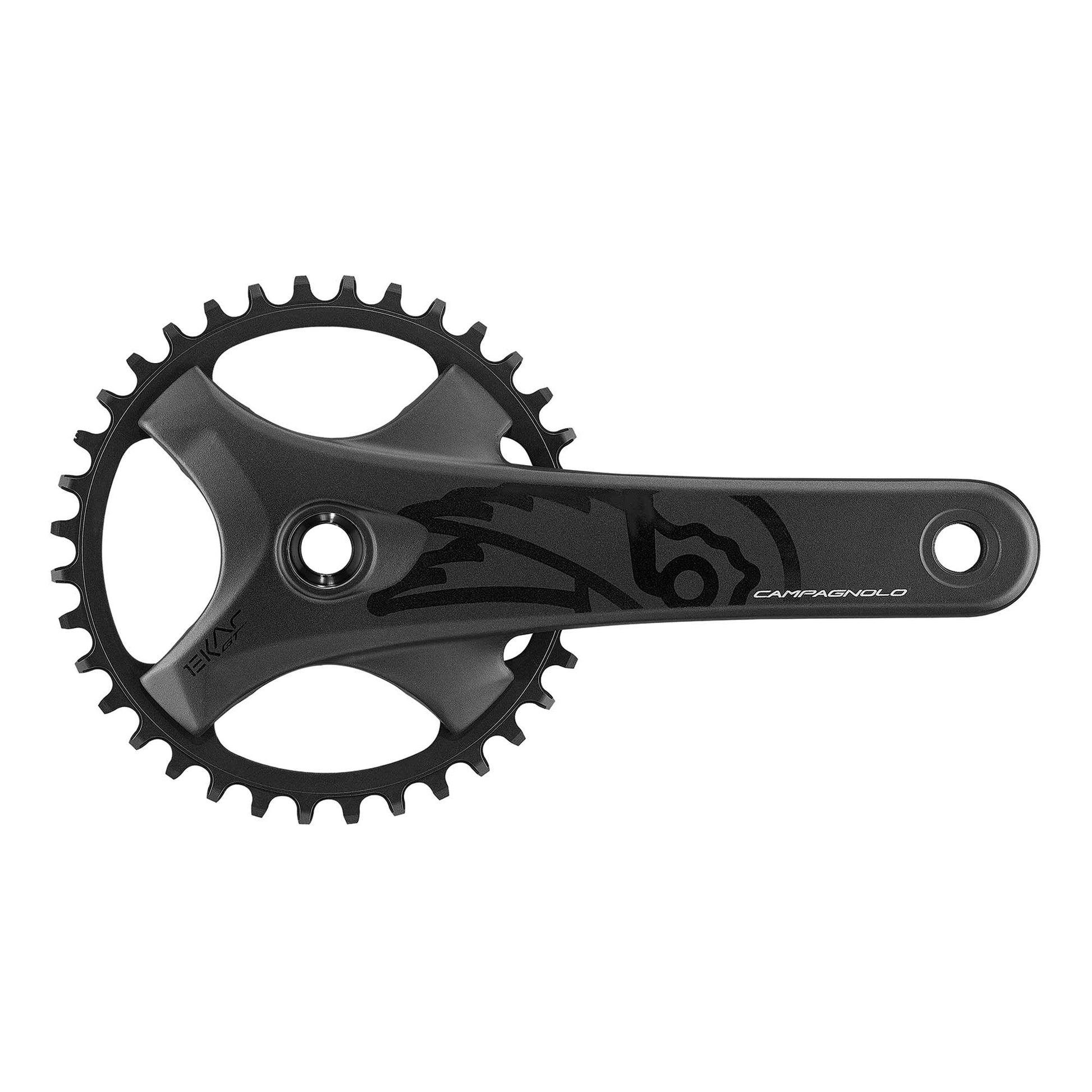 campagnolo-ekar-gt-13x-chainset-170mm-44t