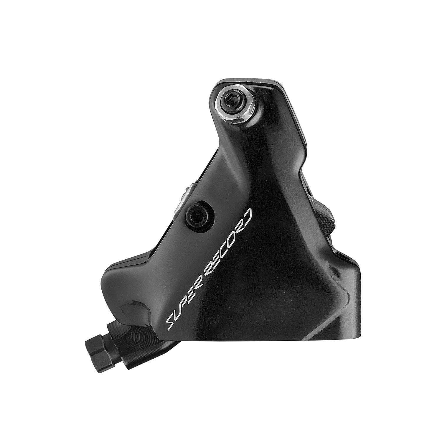 Campagnolo 160mm Rear Caliper W Hose + Oil