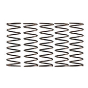 campagnolo-pre-2004-l/end-f/hub-p/spring