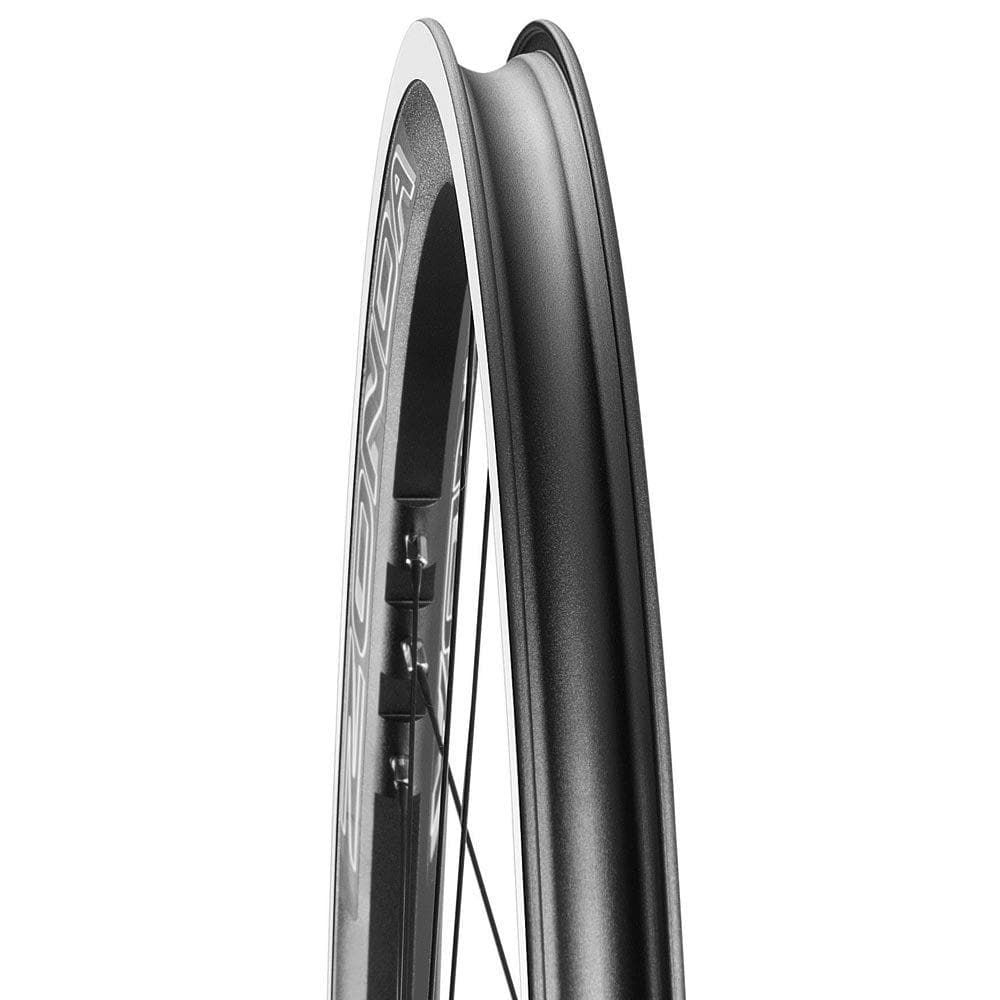 Campagnolo Zonda C17 Campagnolo Freehub 700c Wheelset – BikeParts