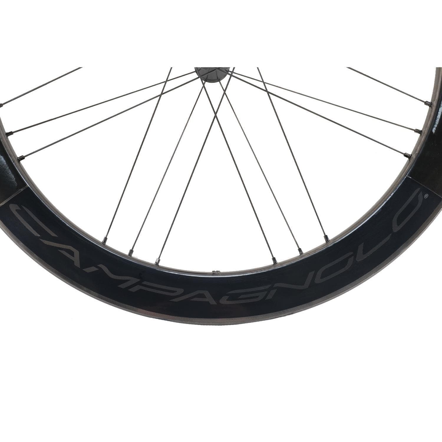 Campagnolo Bora WTO 45 Disc 2-Way Fit Special Edition Wheels