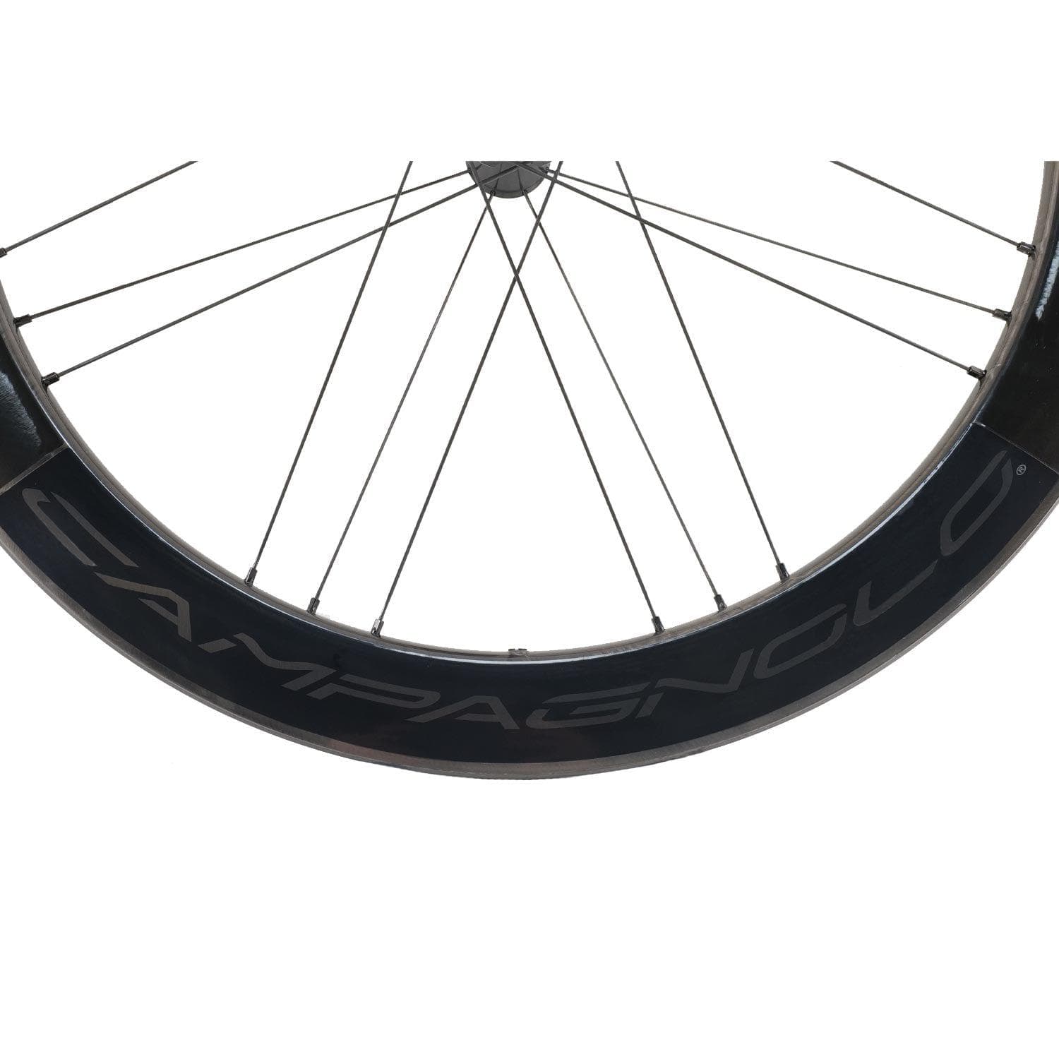 Campagnolo BORA WTO 60 C19 Disc Special Edition SH Pair