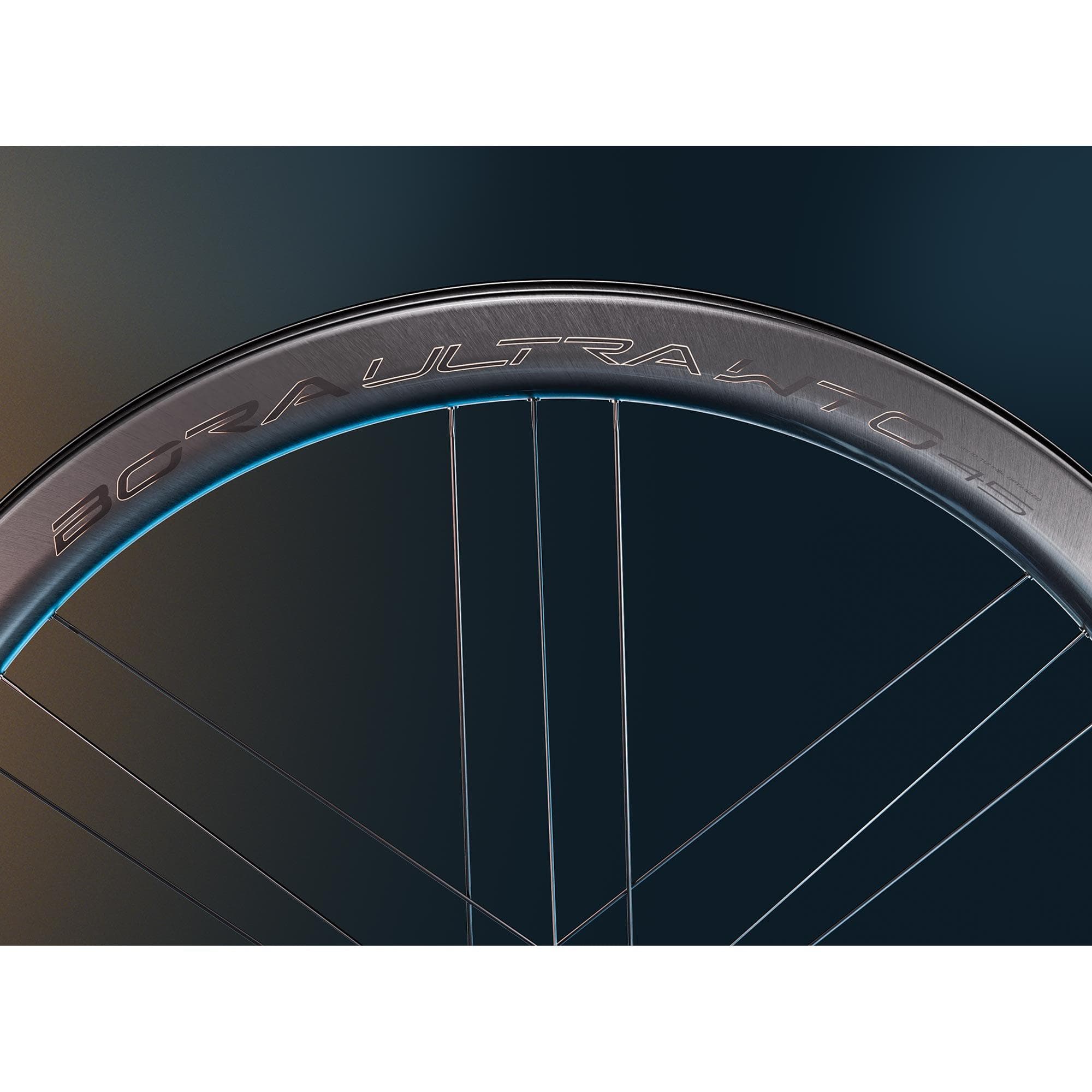 Campagnolo Bora Ultra WTO 45 DB 2WF C23 N3W Pair