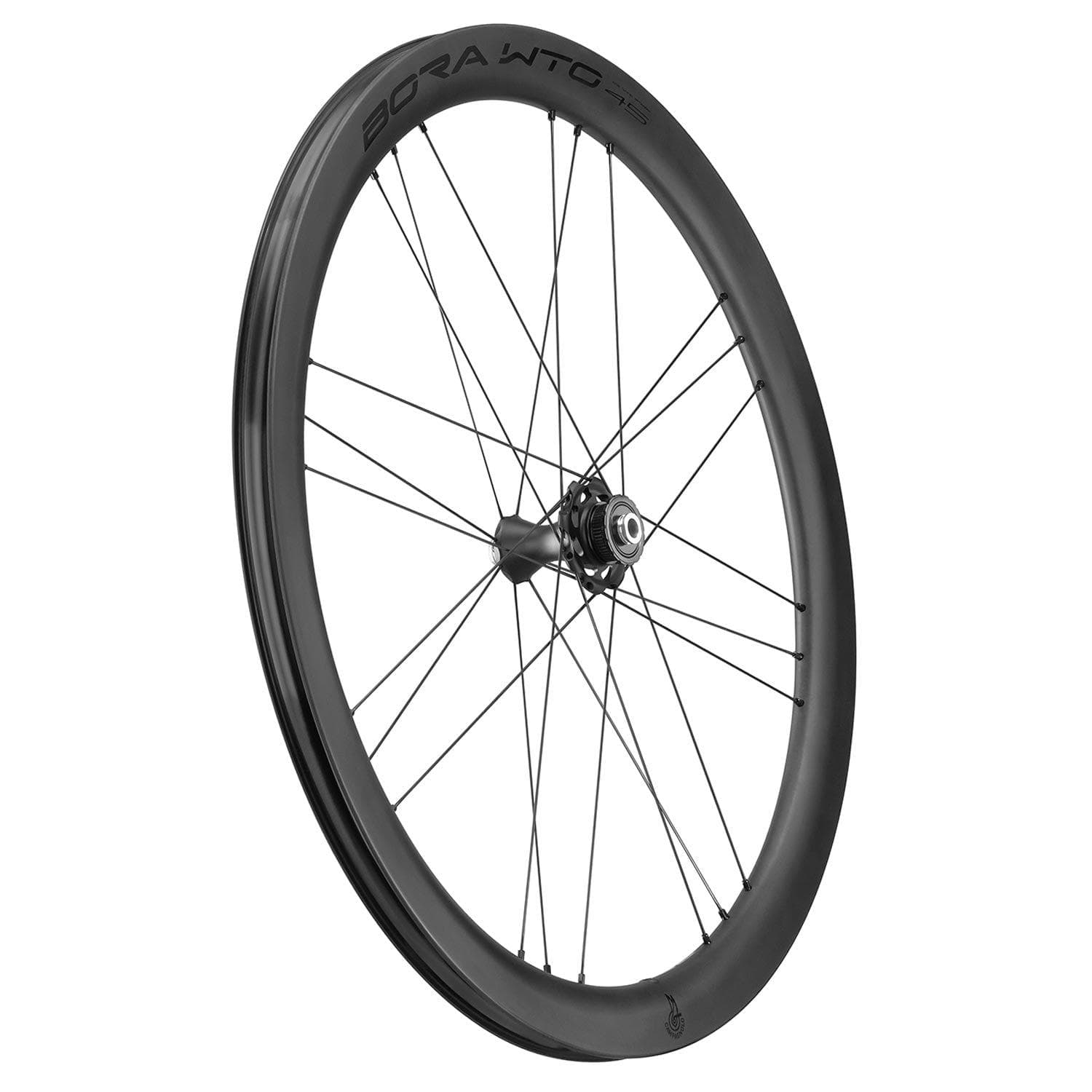 Campagnolo Bora WTO 45 DB 2WF C23 Matt SH11 Pair