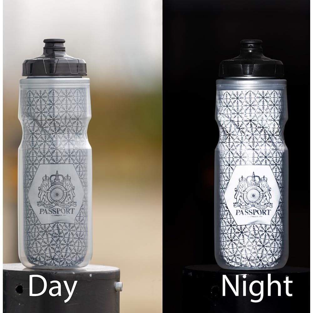 Passport Frostbright Insulated Reflective Water Bottle Silver/Red 550ml