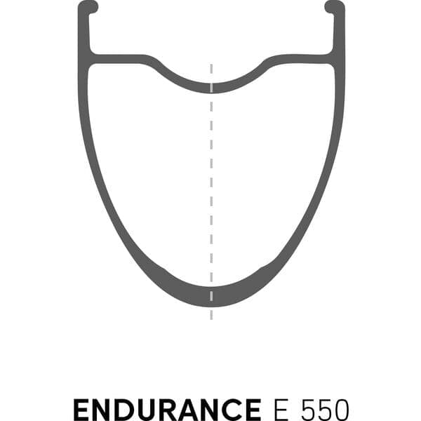 DT Swiss E 550 DB 24 hole Presta-drilled disc brake black