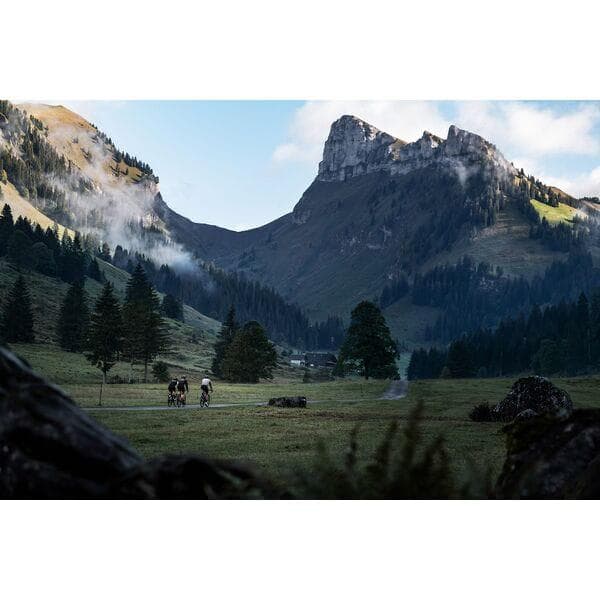 DT Swiss E 1800 SPLINE disc brake wheel; clincher 23 x 22 mm; Shimano rear